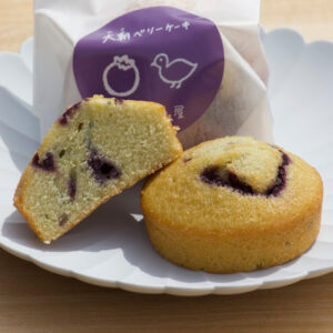 ec_item_berry01