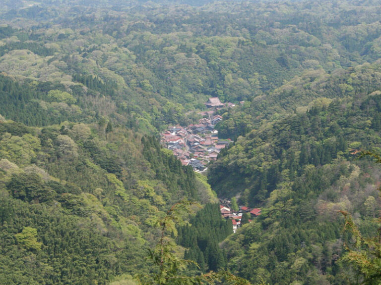 dsc_tour029